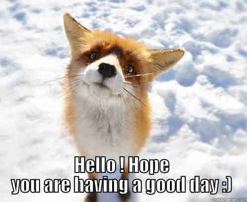 Wondering-Fox-Meme.jpg