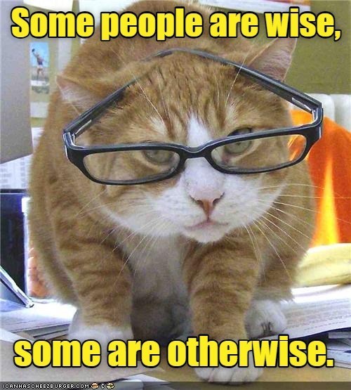 words-of-wisdom