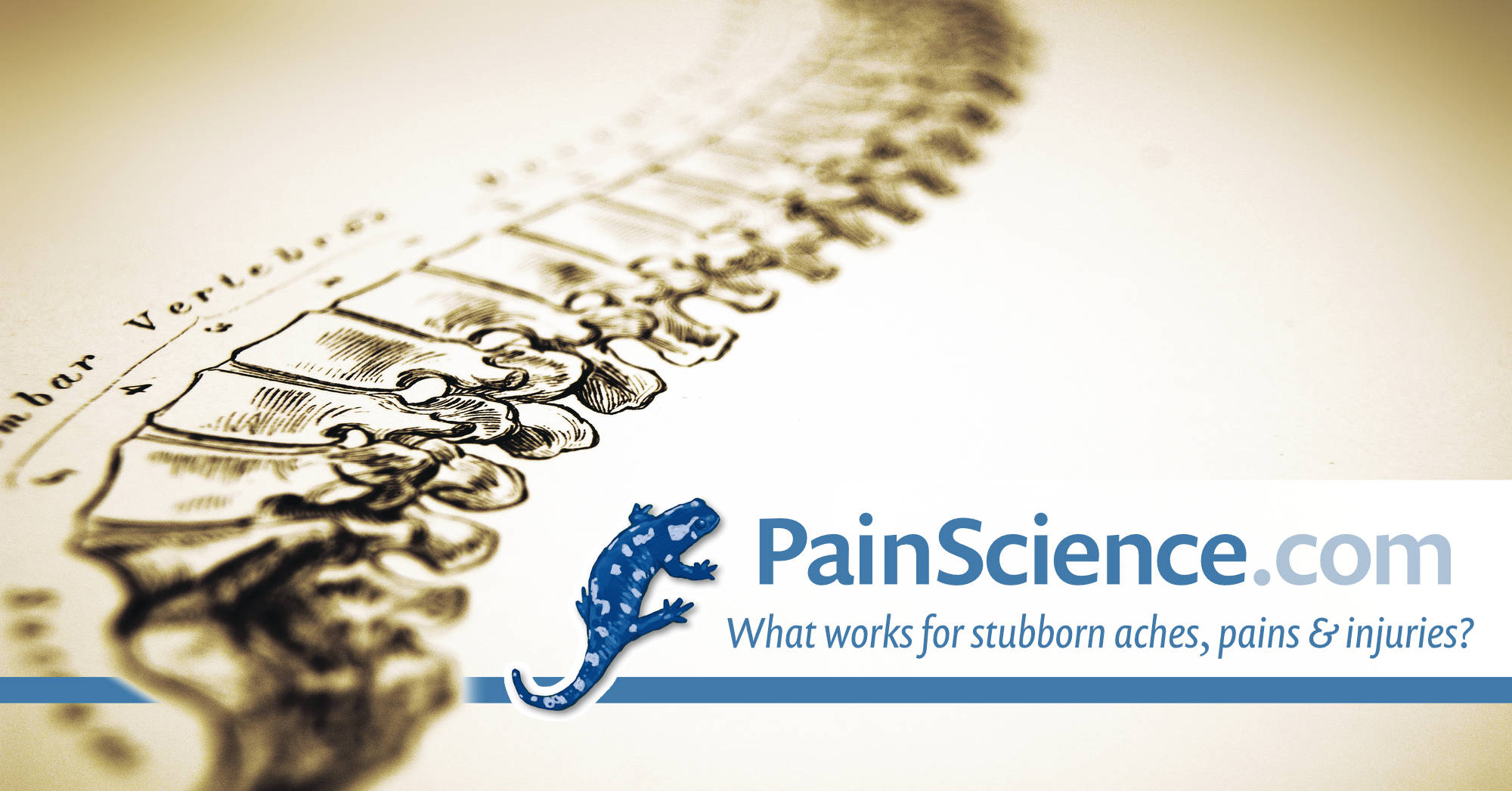 www.painscience.com