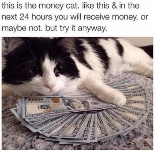 67da964479308.jpeg