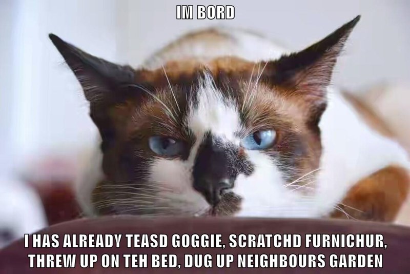 theres-nothing-to-do