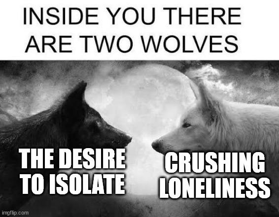 5fw8d5mzcice1.jpeg