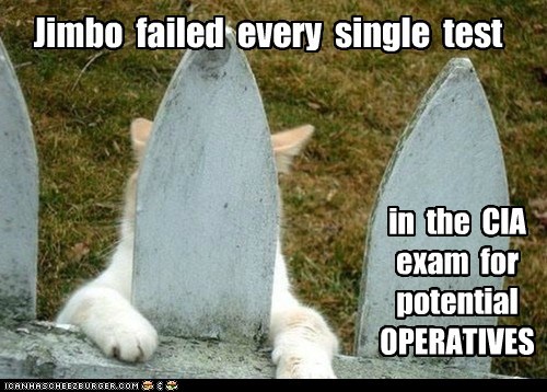jimbo-failed-every-single-test