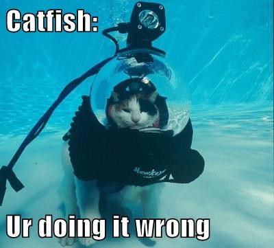 catfish-ur-doing-it-wrong