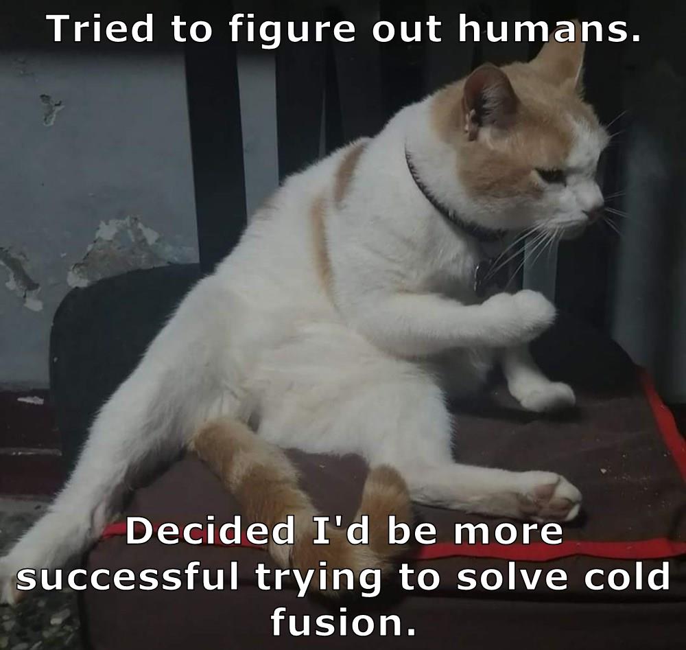 cheezburger-image-9915535104