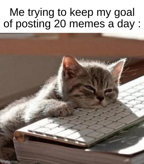 7dwlkx.jpg
