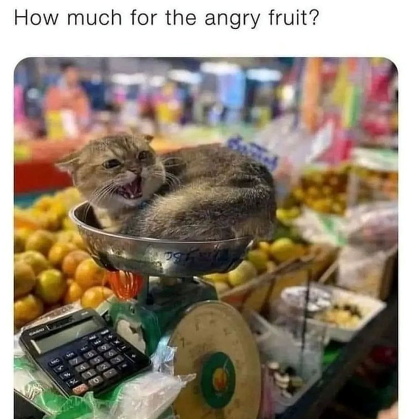 much-angry-fruit