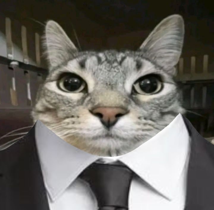 This may contain: a cat wearing a suit and tie with it's face peeking out from behind the collar
