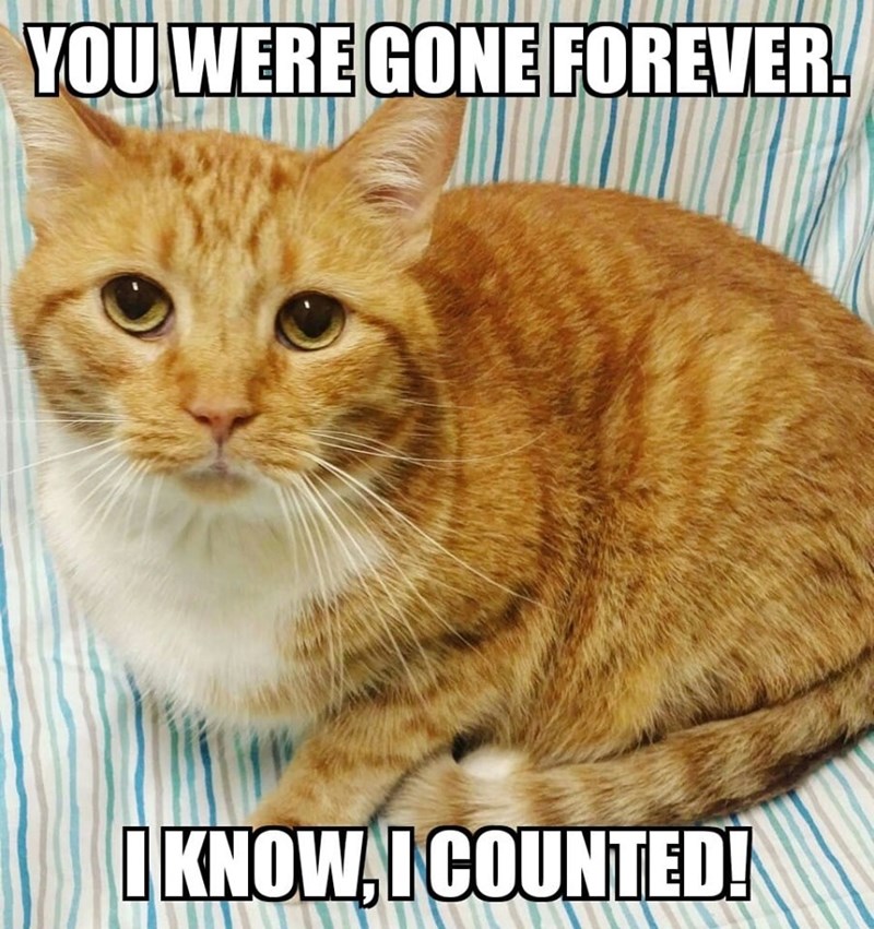 you-were-gone-forever