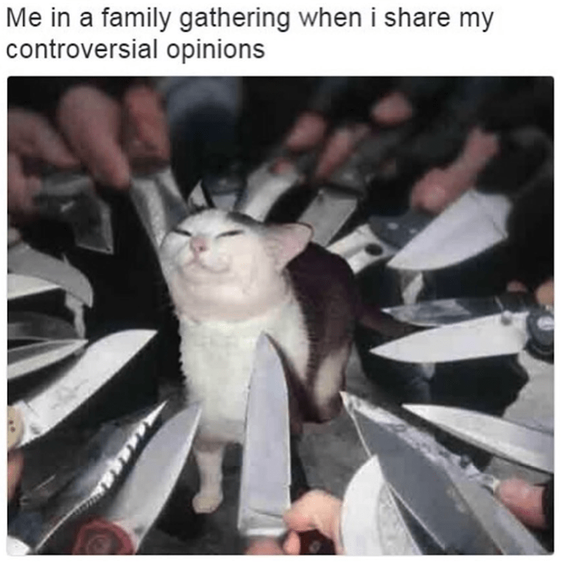 cat-family-gathering-share-my-controversial-opinions