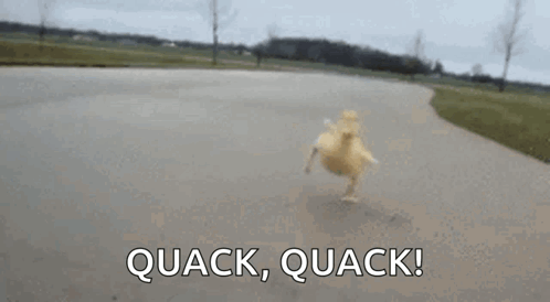 tenor.gif