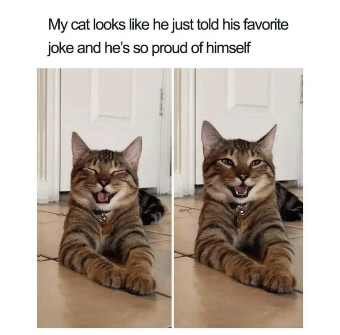biht59fnf9bd1.jpeg