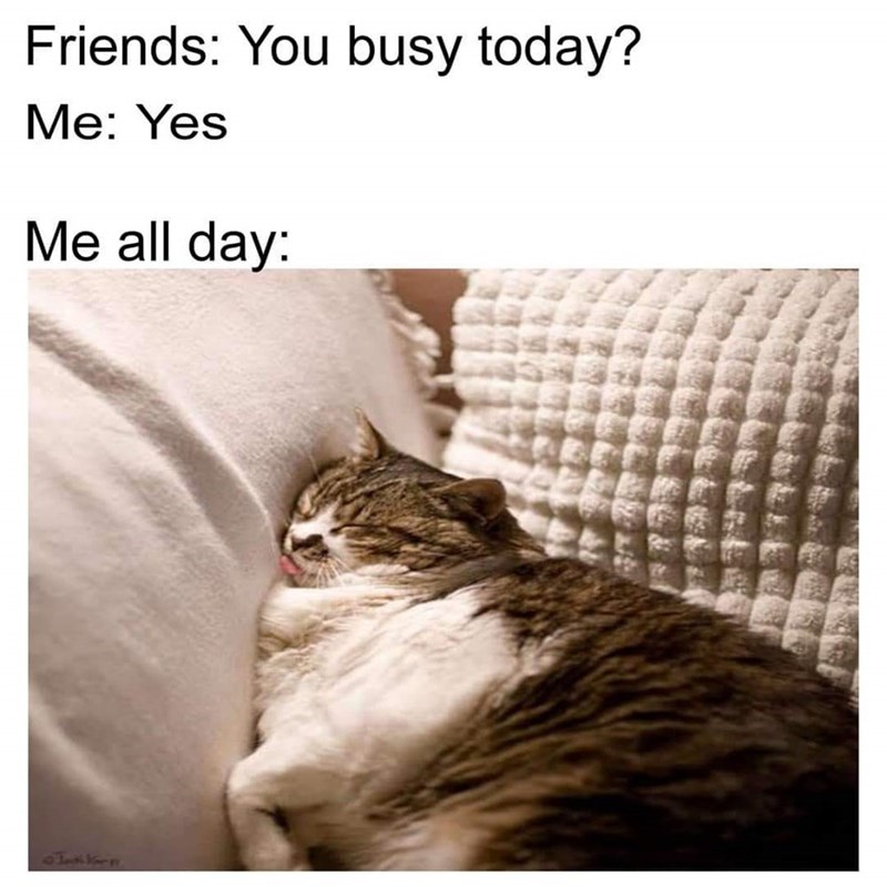 friends-busy-today-yes-all-day