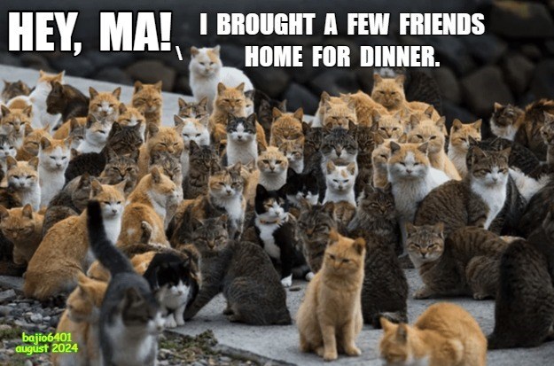 dinner-guests