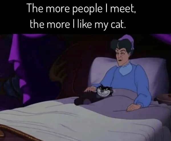 more-people-meet-more-like-my-cat
