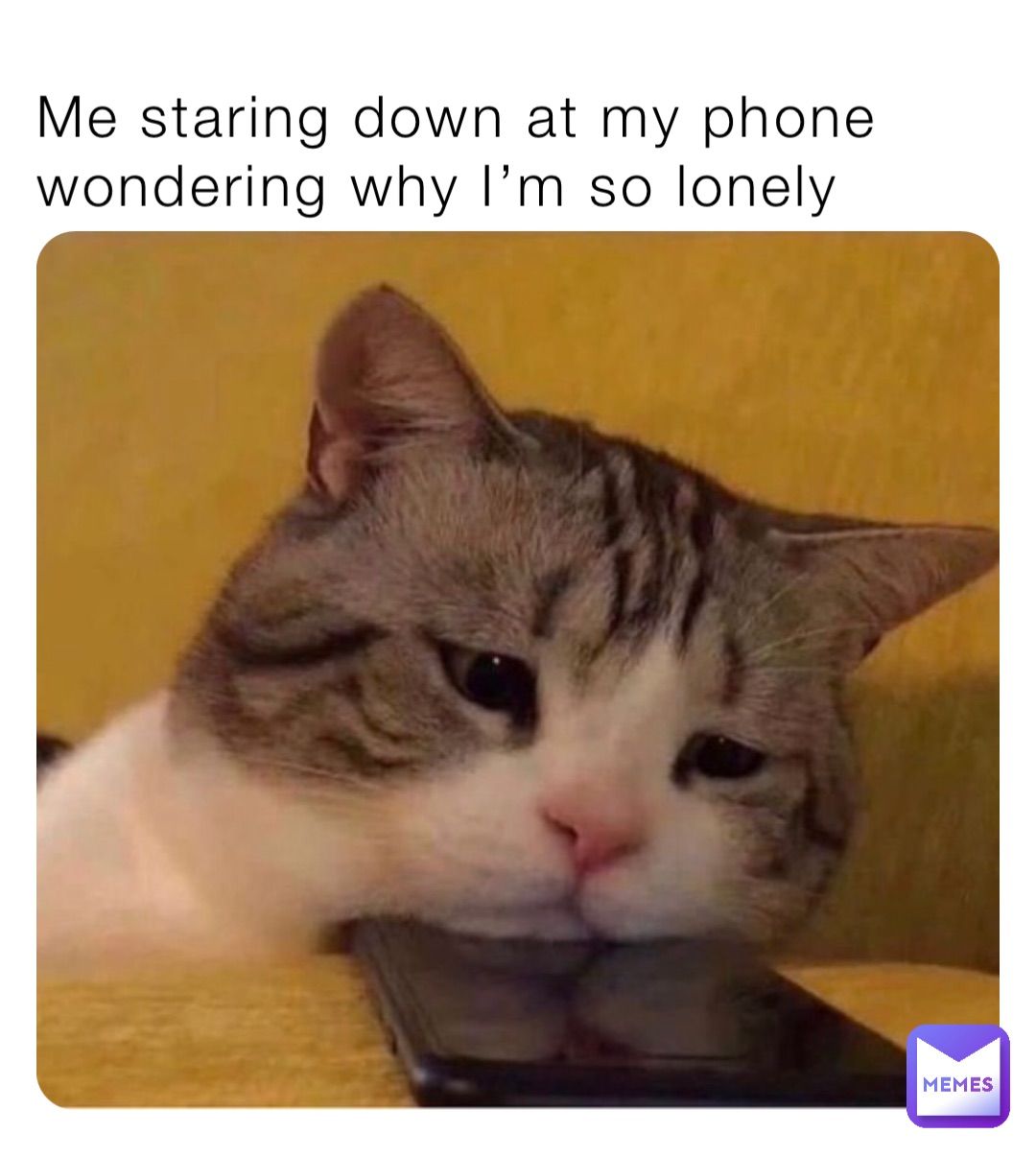 1638720220712.jpg