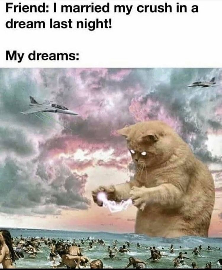 602ff88035e3a.jpeg