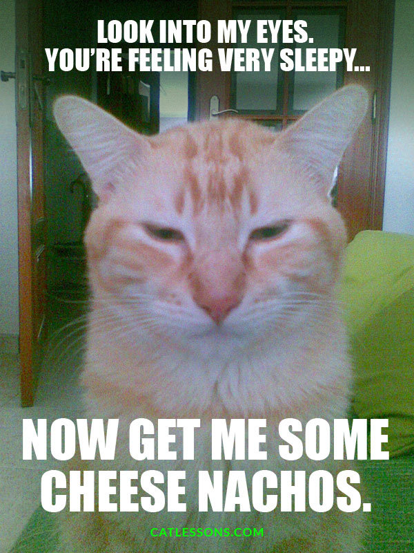 tumblr_nl6ff37GTf1uq921eo1_640.jpg