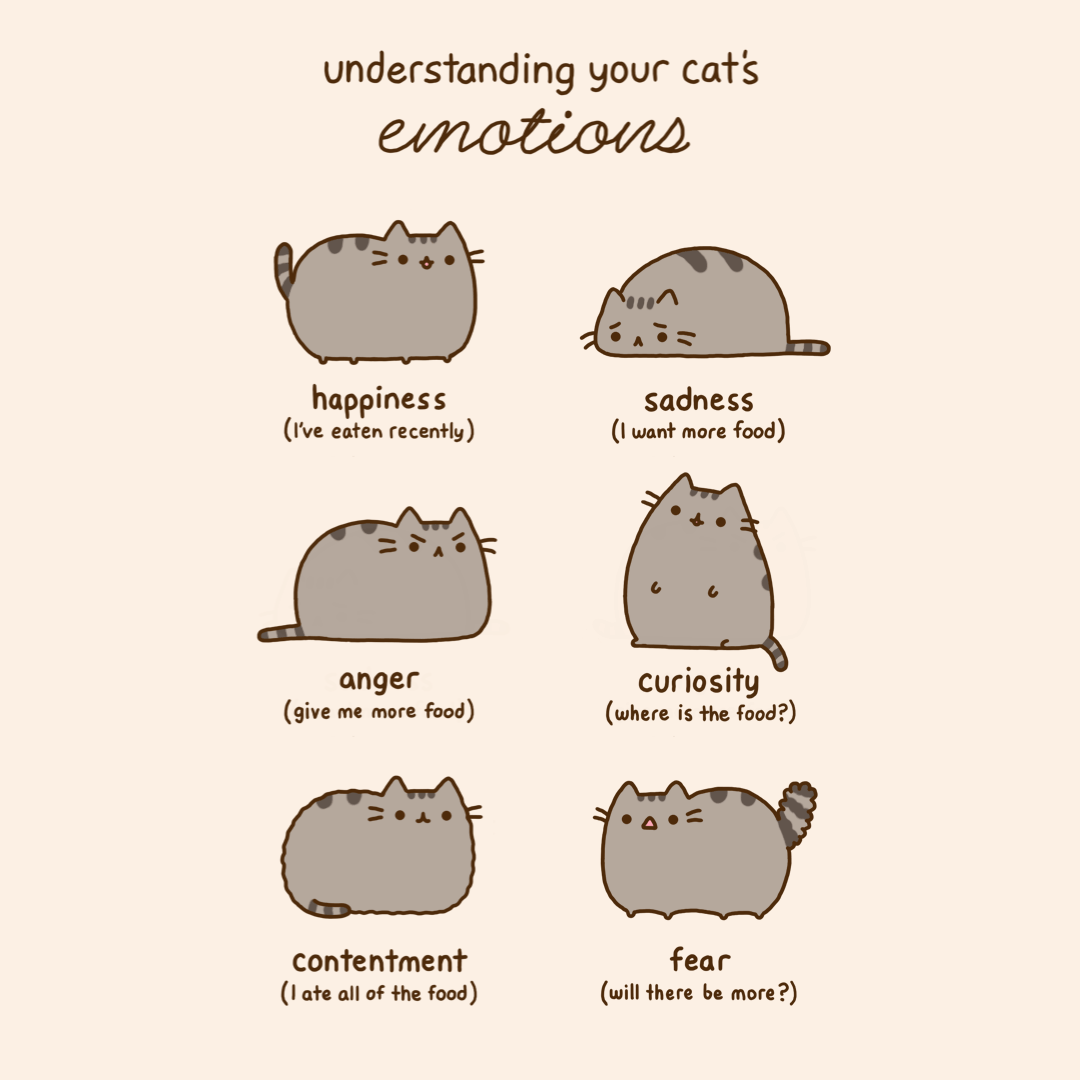 CatEmotions.gif