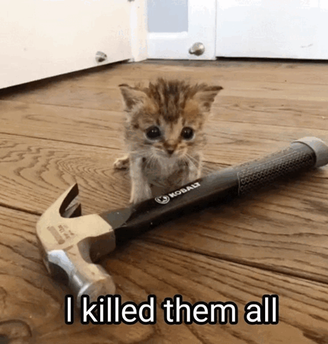 tenor.gif