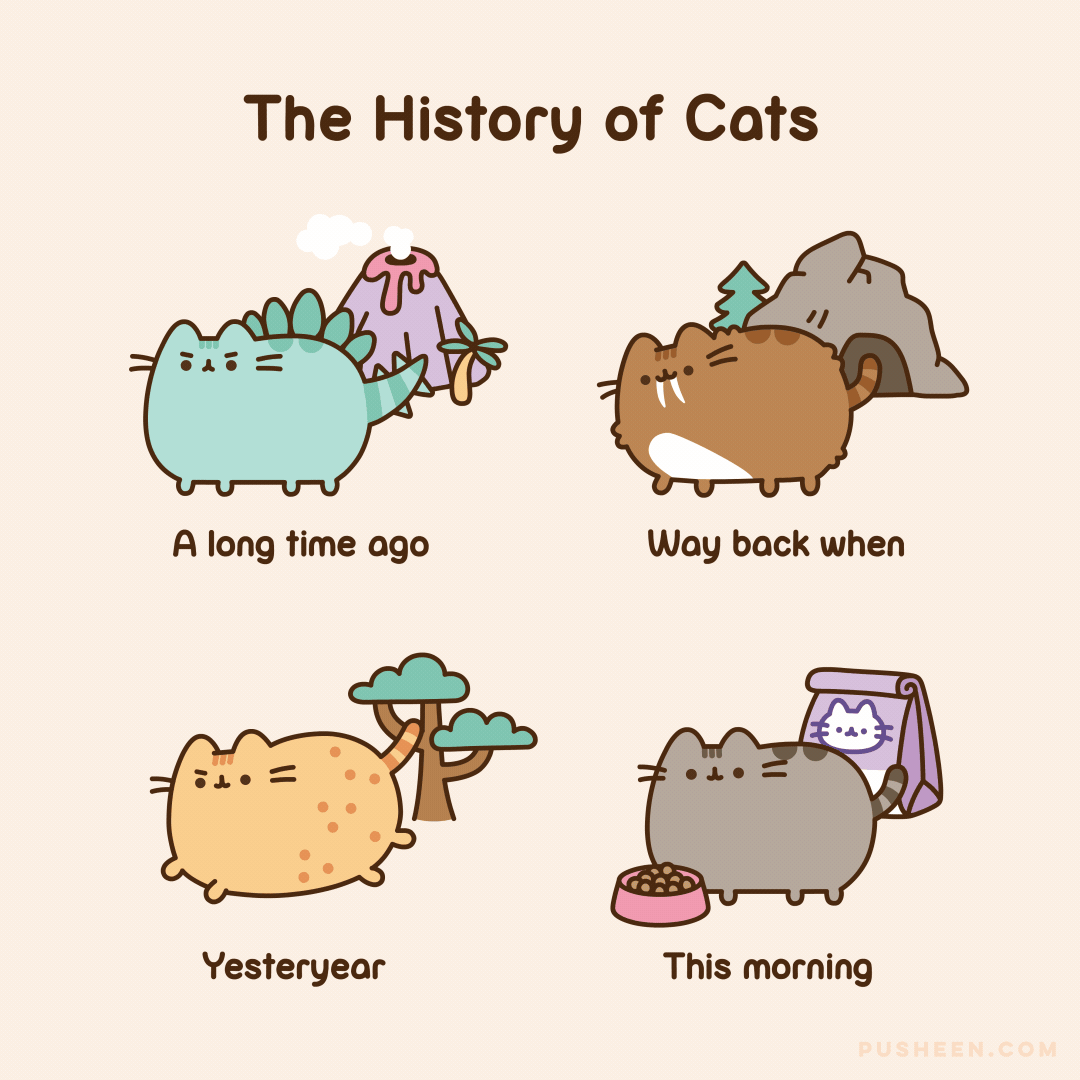 The_History_of_Cats.gif