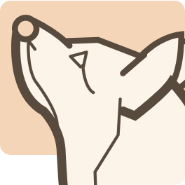 cinnamon.org.uk