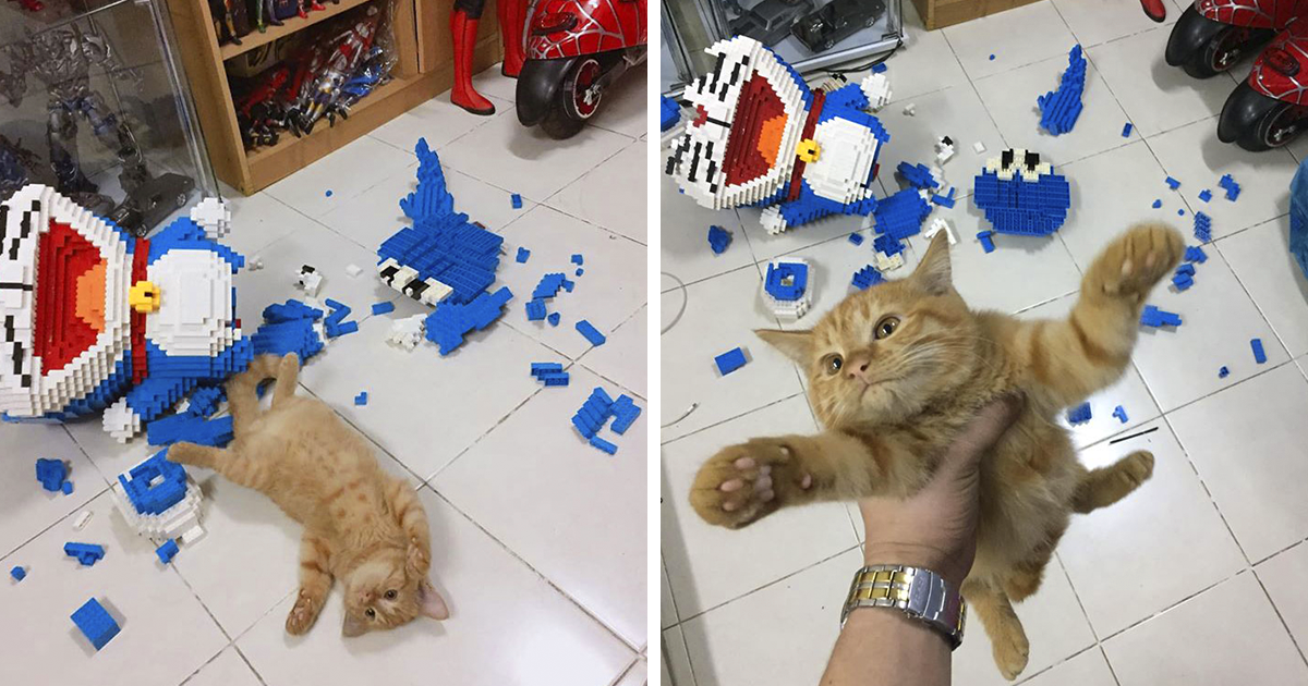 www.boredpanda.com
