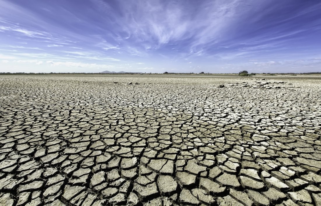 drought%201.jpg