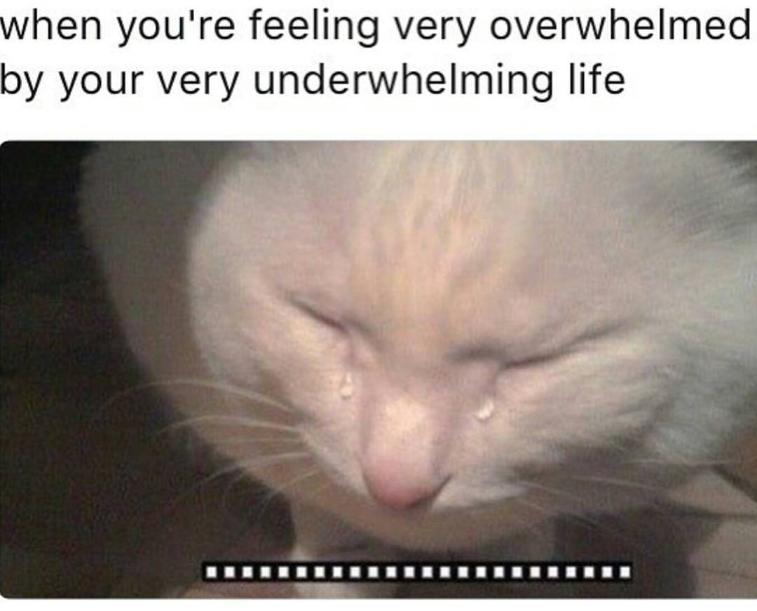 tumblr_onasrtbPwD1tj1uzko1_1280.jpg