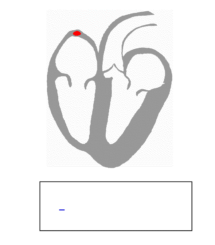 en.wikipedia.org