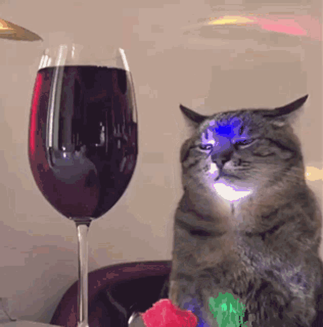 tenor.gif