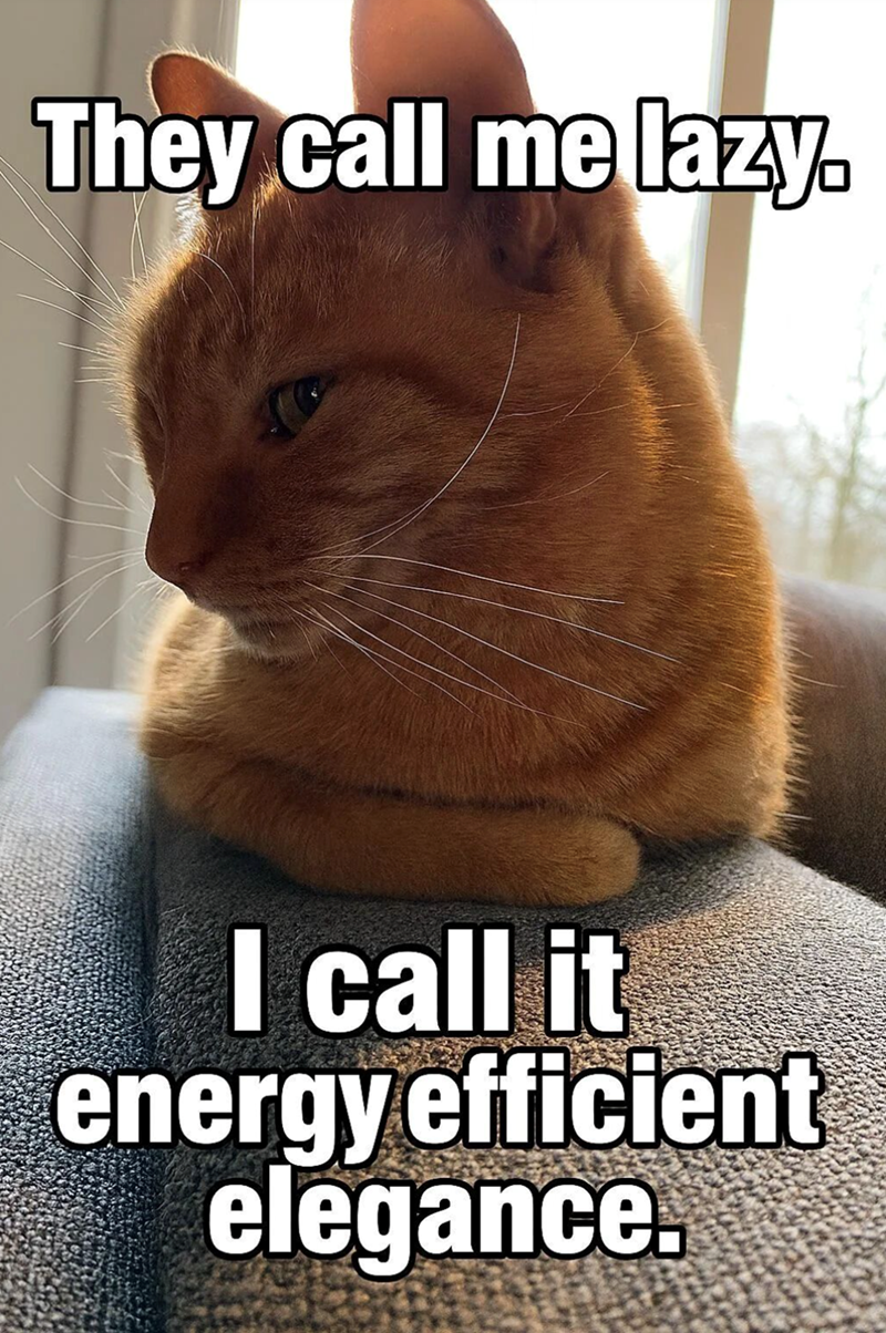 they-call-lazy-call-energy-efficient-elegance