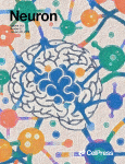 www.sciencedirect.com