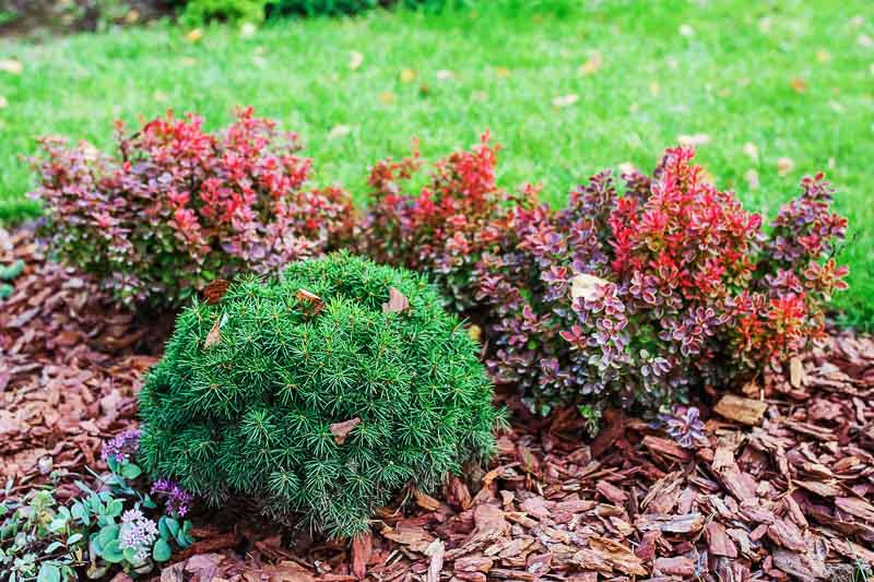 www.gardenia.net