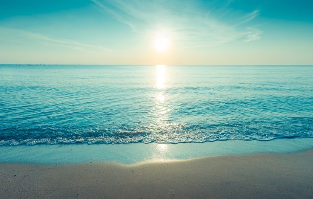 iStock-171584492.jpg