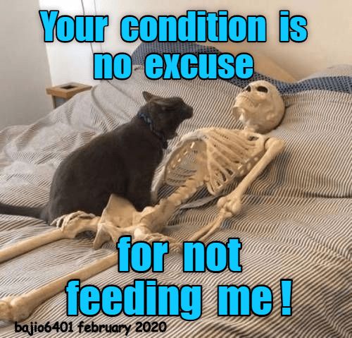 01b480b4260b738abd3138e3925f461c.jpg
