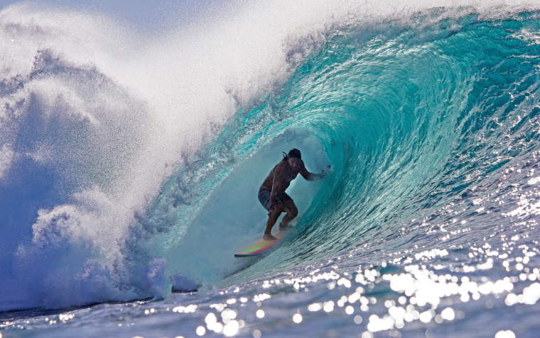 Shark attack kills famous surfer and lifeguard in Hawaii Shark attack kills famous surfer and lifeguard in Hawaii